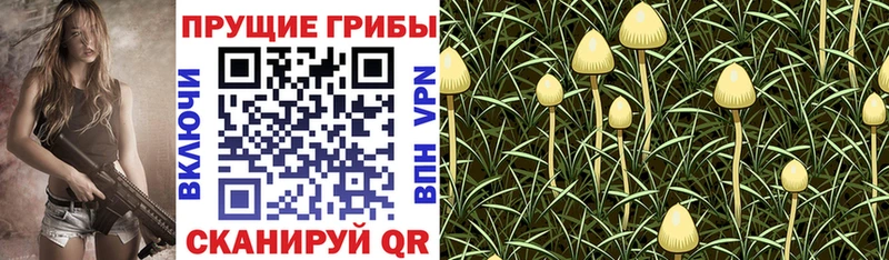 Галлюциногенные грибы мухоморы Шацк